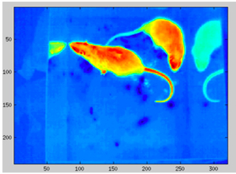 VISIR動物行為觀測分析系統(tǒng)
