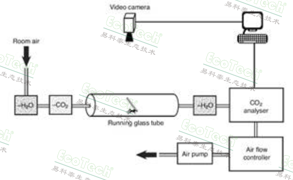 Macintosh HD:Users:cqyu:Desktop:Ecotech-Suppliers:北美:Sablesys.com:Reference:昆蟲等無脊椎動物:Ants:ant respirometry.jpg
